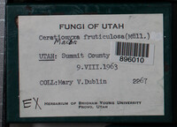 Image Associated With the Occurence